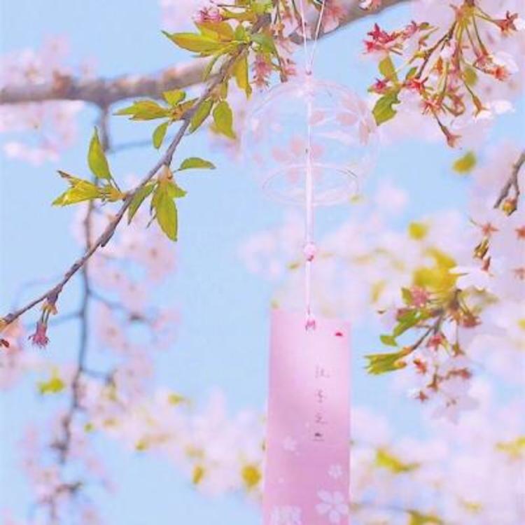 苍井优（饰 高荷惠） - 绝母1一6全集动漫在线播放15 - APP追剧